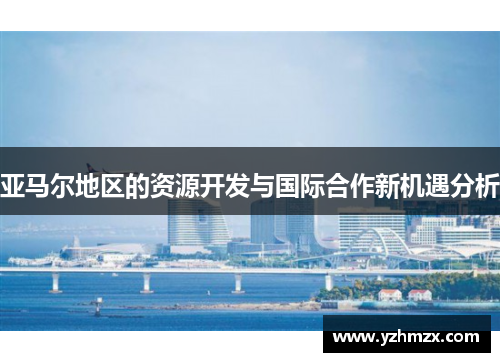 亚马尔地区的资源开发与国际合作新机遇分析