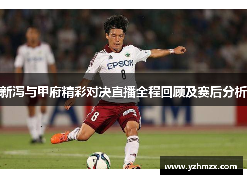 新泻与甲府精彩对决直播全程回顾及赛后分析