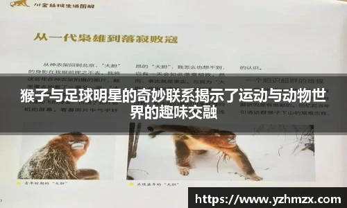 猴子与足球明星的奇妙联系揭示了运动与动物世界的趣味交融
